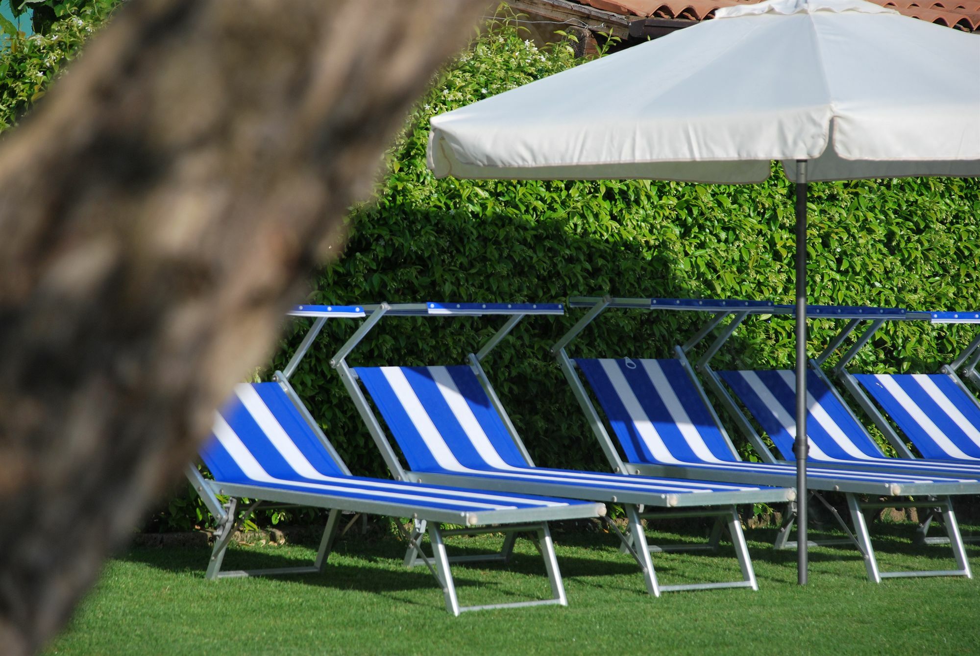 La Tinassara Bed & Breakfast Lazise Luaran gambar